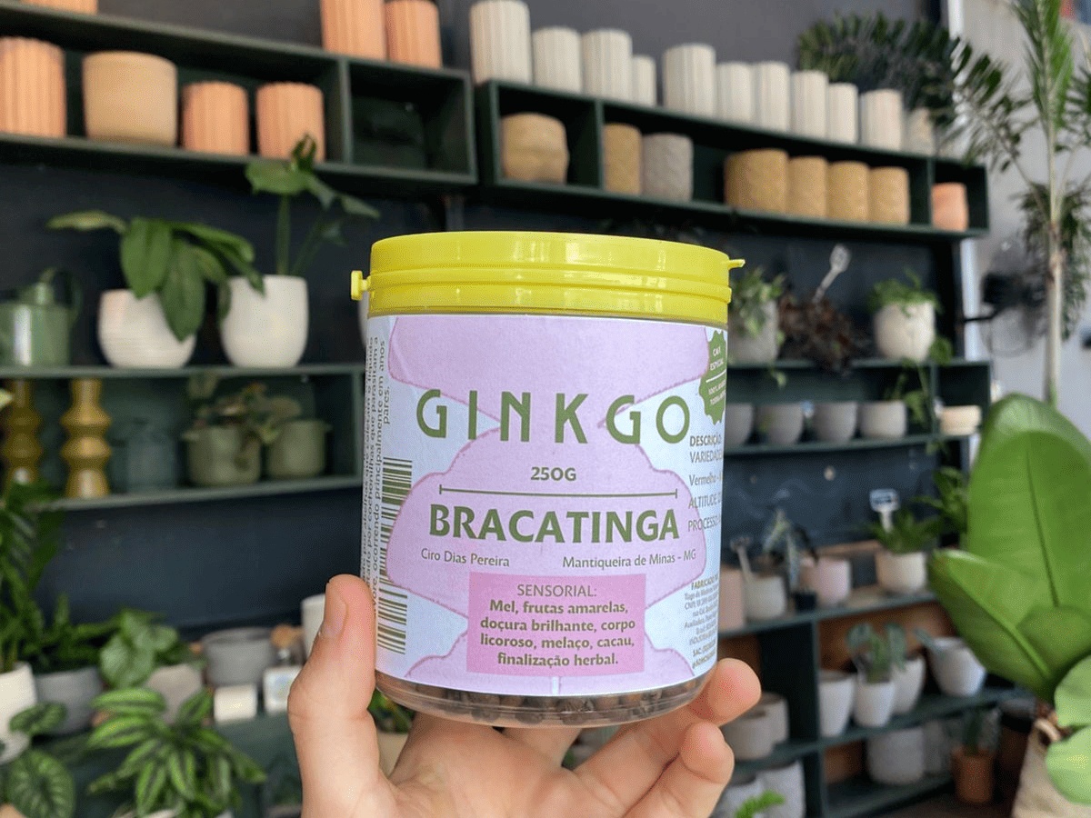 Grão Bracatinga - 250g 
